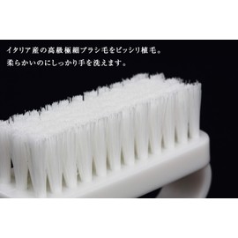 Brosse Hand Wash Brush, Made in Japan, White, Made in Italy
