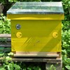 Plastic Beehive, 12pcs/set Plastic Beehive Nuc Box, Entrance Gate Beekeeping