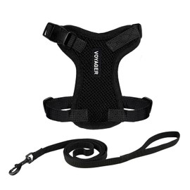 Voyager Step-in Lock Adjustable Cat Harness w. Cat Leash Combo Set with Neoprene Handle 5ft - Supports Small, Medium and Large Breed Cats by Best Pet Supplies - Black, S