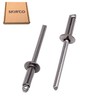 SKIR'CO Pack of 100 Stainless Steel Blind Rivets 4.0 x