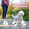 Feycig Dog Harness for Small Dogs, Anti-Pull Adjustable, Reflective Harness,