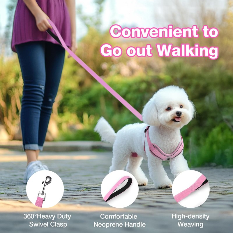 Feycig Dog Harness for Small Dogs, Anti-Pull Adjustable, Reflective Harness,