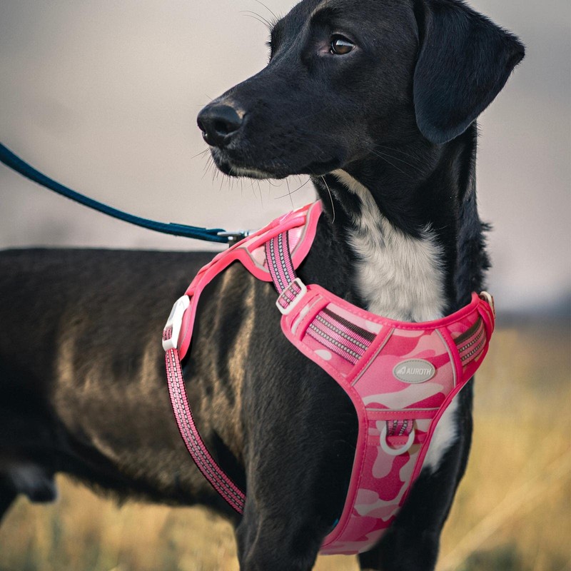 Auroth Tactical Anti Pull Dog Harness Adjustable Breathable Pet Vest