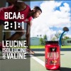 Suplemento en polvo BSN Endurance and Recovery Aminoácidos sabor ponche