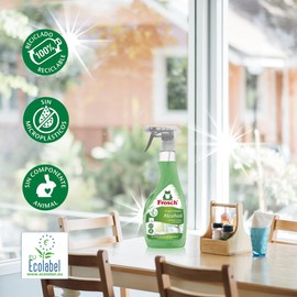 Frosch Eco Limpiacristales Pistola 500 per uso quotidiano, formato pratico