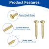 sourcing map 100Pcs Small Hardware Nails, 1.2 x 10mm Brass
