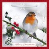 Carte Blanche Photographic 3D Lenticular Merry Christmas Single Greeting Card