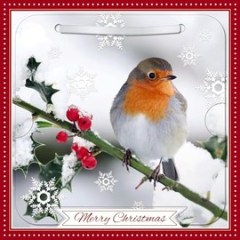 Carte Blanche Photographic 3D Lenticular Merry Christmas Single Greeting Card with Detachable Keepsake to Treasure - 6" x 6" (155 x 155mm) - Eco-Friendly (Robin on Branch)