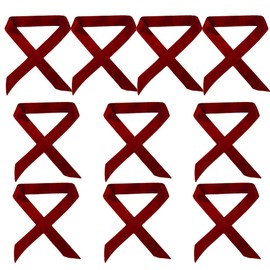 10 Pieces Skinny Long Thin Satin Small Scarf Bag Scarf Sash Ribbon Choker for Women Girls (Wine red)