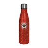 FOCO Offically Licenced Paint Splatter Cool 500 mL Bottle Brentford