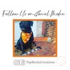 Taco Tuesday Over the Collar Dog Bandana That Slips onto