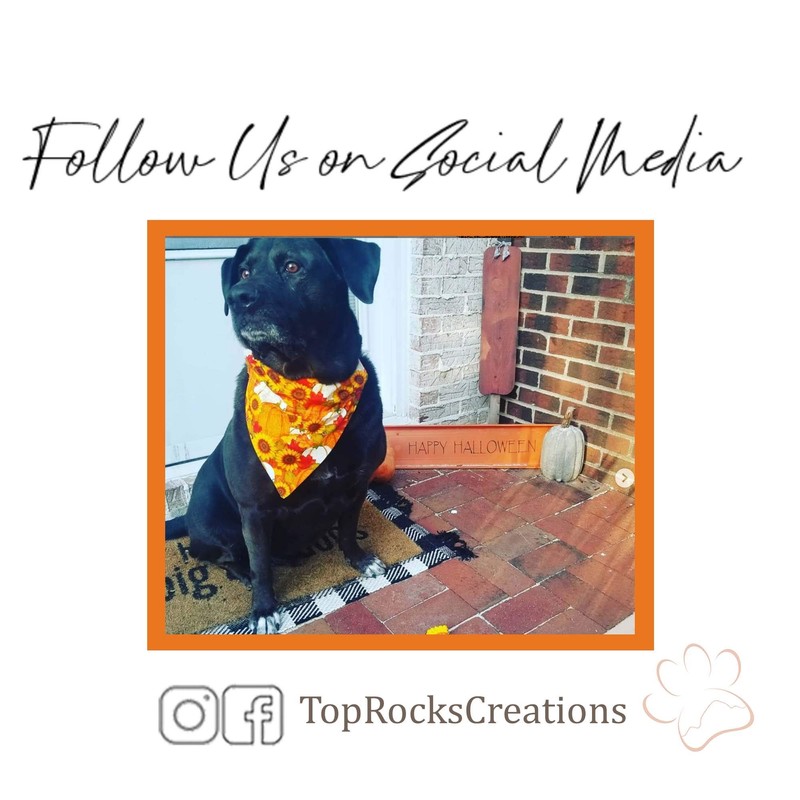 Taco Tuesday Over the Collar Dog Bandana That Slips onto