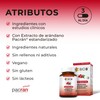 BIO B | Extracto de Arándano 60 cápsulas veganas con