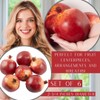 Factory Direct Craft Artificial Pomegranate Fruits Set of 6 -