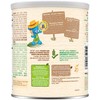 Nestle Nestum Infant Cereal Wheat and Fruits, 9.5 Ounce (Pack
