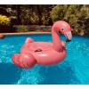 Intex Inflatable Flamingo Ride-On Pool Float, 58" x 58" x
