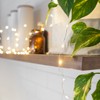Lights4fun Indoor String Fairy Lights with 100 Warm White Micro