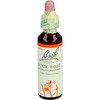 Bachbl�te Rock Rose, 20 ml