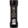 AXE 2-in-1 Shampoo & Conditioner - Dark Temptation - 12