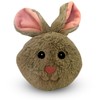 Gazoos Interactive Dog Toy (Beau Bunny), Motion Activated Bouncing Talking