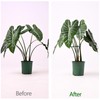 Yohsnor 5PCS Monstera Plant Support Hook - 4.1 * 4.4IN,