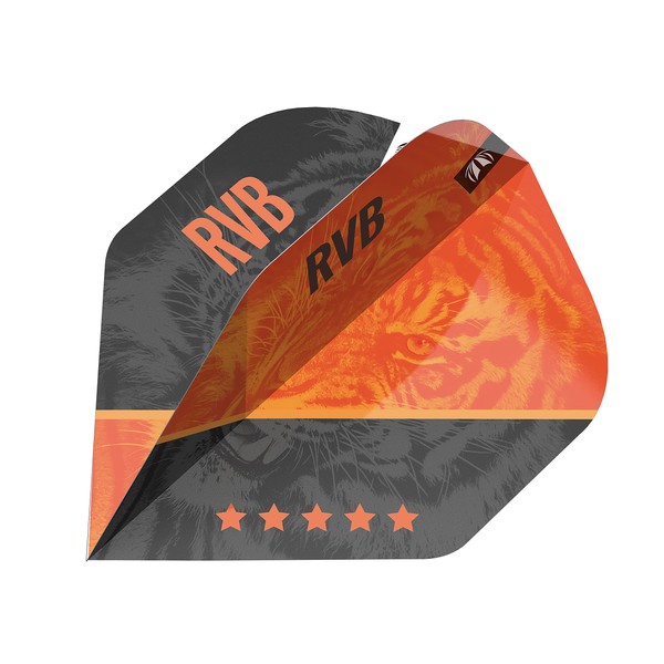 Target Darts - Raymond van Barneveld RVB 4th Gen Pro