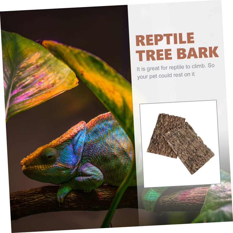 Garneck Cork Bark Back Panel for Terrarium, 30 x 20