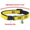 Buckle-Down Do Not Feed Navy White, Breakaway Cat Collar with