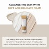 SKIN1004 [SKIN1004]Madagascar Centella Ampoule Foam 125ml