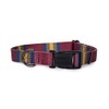 PENDLETON Zion National Park Adventure Collar XL