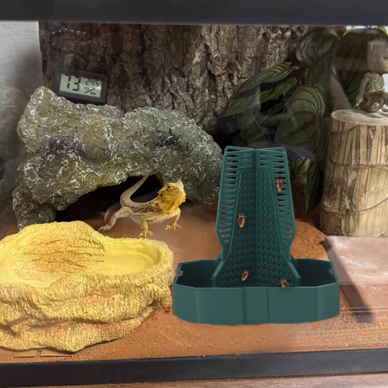 Chameleon Feeding Bearded Dragon Bug Bowl Reptile Feeder Box with