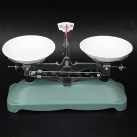 Digital Scale, Mechanical Balance Scale Double Pan Balance Scale with Weight Kit, Student Balance Chemistry Physical Experiment Accessory for Laboratory School (100g)