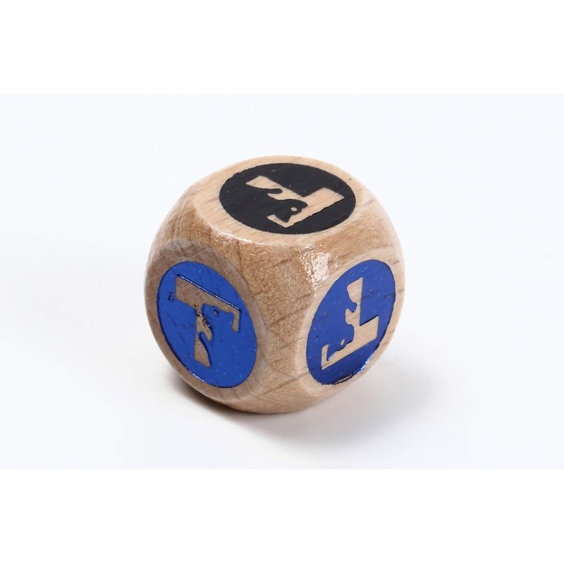 TOYGER Coin Flip Dice (dice for Coin toss) for All