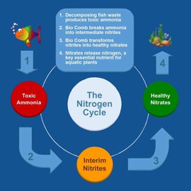 HALF OFF PONDS Large Fluidized Media Bio Balls, 3.5 Cubic Foot, MBBR Biological Filtration Media - HBB-L-3.5CF (3.5 Cubic Feet, 2")