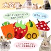 SFTRADE Timothy Rabbit, Grass Feeder, Rabbit, Bait Bag, No Mess,
