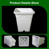 Gyfofix HG7X7SW 7"x7" Square White Pot, 9" Tall Pack of