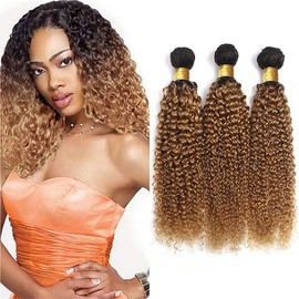 Honey Blonde Bundles Ombre Curly Human Hair Bundles 1B27 Bundles Blonde Kinky Curly Bundles Human Hair Two Tone Black To Honey Blonde Bundles Human Hair Weave 12 14 16 Inch
