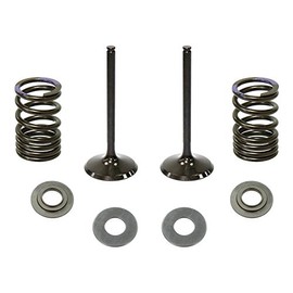Outlaw Racing OR5225-IK Intake Valve and Stainless Steel Spring Kit YAMAHA YZ250F 2014-2017