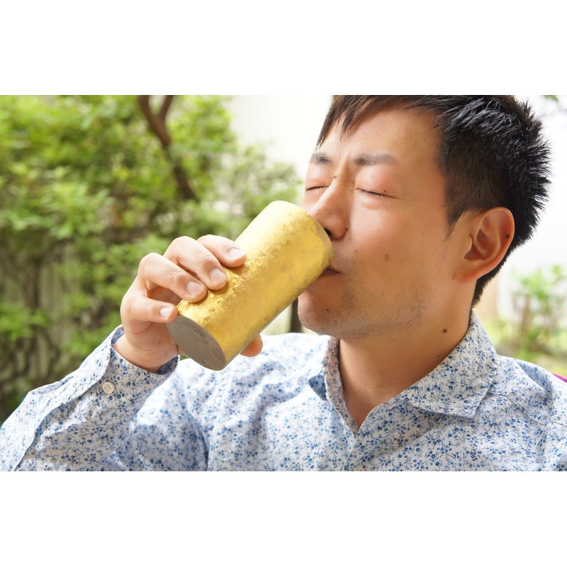 Horie Niigata Prefecture Tsubame made in Titanium Double Tumbler Cotta