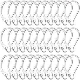 Alpinleux 30 Pcs Leverback Earring Hooks, Stainless Steel Clasp Hoop, Hypoallergenic Dangles Earring Hooks, French Ear Wire Findings for Women, DIY Crafts, Jewelry Making (Silver)