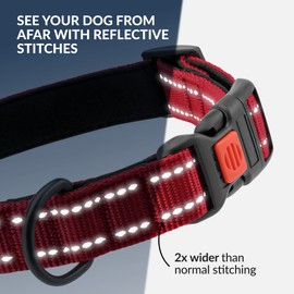 CollarDirect Reflective Dog Collar for a Small, Medium, Large Dog or Puppy with a Quick Release Buckle - Boy and Girl - Nylon Suitable for Swimming (10-13 Inch, Red)