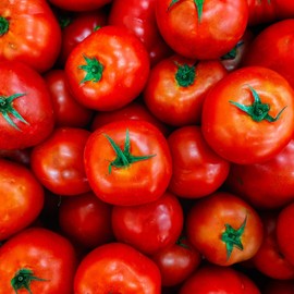 BONGIOVANNI FARINE E BONTA' NATURALI Pomodoro disidratato in polvere 100g BIO