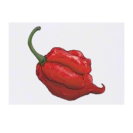 'California Reaper Chilli' Temporary Tattoo - Water Resistant, Skin-Safe, Non-Toxic Transfer (TO00058941)