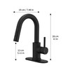 Black Bathroom Sink Faucet with Pull Out Sprayer for Sink