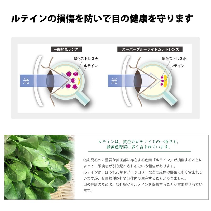 [Megane Style] スーパーブルーライトカットメガネ PCメガネ ブルーライト HEV94%カット 形状記憶 オーバル レディース メンズ