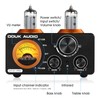Douk Audio ST-01 PRO 200W Bluetooth Amplifier, 2 Channel Vacuum