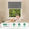 Allesin Motorized Roller Blinds with Remote Control for Windows, Blackout