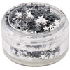Cosmetic Glitter Stars for use on the face - Silver
