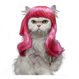 Drasawee Long Synthetic Female Pet Wigs Dog Cat Hair Costumes