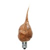 Vickie Jean's Hazelnut Scented Silicone Light Bulb 4 Watt ~
